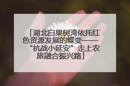 湖北白果树湾依托红色资源发展的蝶变——“抗战小延安”走上农旅融合振兴路