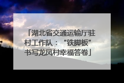 湖北省交通运输厅驻村工作队：“铁脚板”书写龙凤村幸福答卷