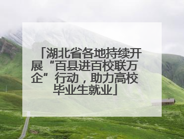 湖北省各地持续开展“百县进百校联万企”行动，助力高校毕业生就业