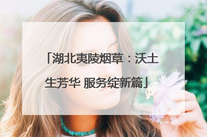湖北夷陵烟草：沃土生芳华 服务绽新篇
