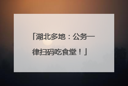湖北多地：公务一律扫码吃食堂！