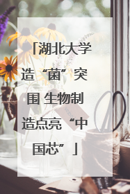 湖北大学造“菌”突围 生物制造点亮“中国芯”