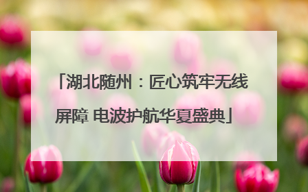 湖北随州：匠心筑牢无线屏障 电波护航华夏盛典