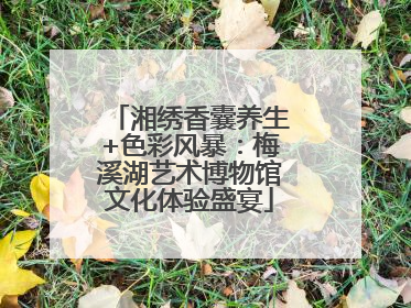 湘绣香囊养生+色彩风暴：梅溪湖艺术博物馆文化体验盛宴