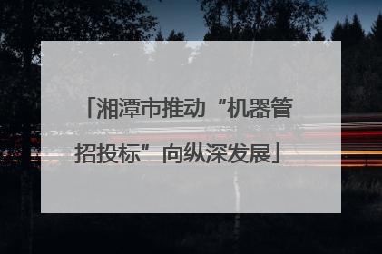 湘潭市推动“机器管招投标”向纵深发展