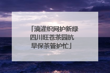 滴灌织网护新绿 四川旺苍茶园抗旱保茶管护忙