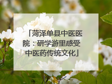 菏泽单县中医医院：研学游里感受中医药传统文化