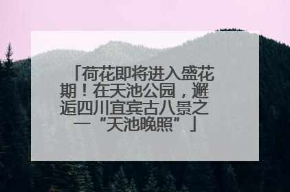 荷花即将进入盛花期！在天池公园，邂逅四川宜宾古八景之一“天池晚照”