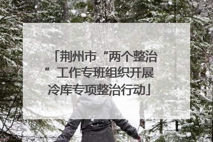荆州市“两个整治”工作专班组织开展冷库专项整治行动