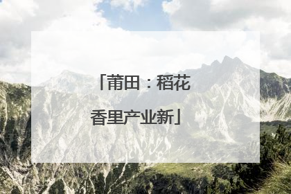 莆田：稻花香里产业新