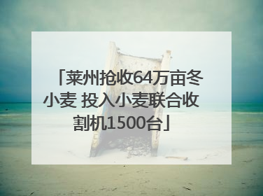 莱州抢收64万亩冬小麦 投入小麦联合收割机1500台