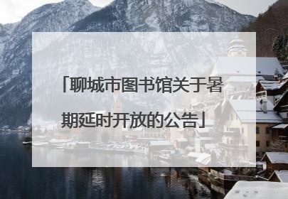 聊城市图书馆关于暑期延时开放的公告