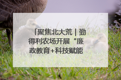 聚焦北大荒｜勤得利农场开展“廉政教育+科技赋能”主题党日活动