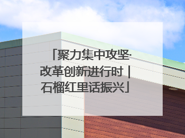 聚力集中攻坚·改革创新进行时｜石榴红里话振兴