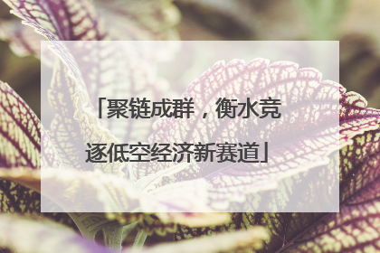 聚链成群，衡水竞逐低空经济新赛道