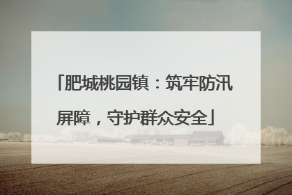肥城桃园镇：筑牢防汛屏障，守护群众安全
