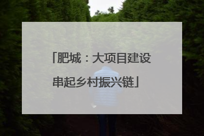 肥城：大项目建设串起乡村振兴链