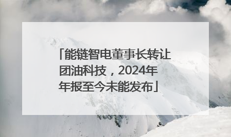 能链智电董事长转让团油科技，2024年年报至今未能发布