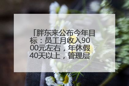 胖东来公布今年目标：员工月收入9000元左右，年休假40天以上，管理层人均分配70万元