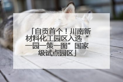 自贡首个！川南新材料化工园区入选“一园一策一图”国家级试点园区