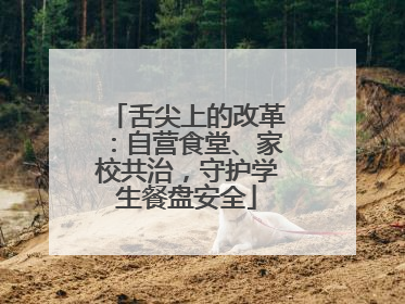 舌尖上的改革：自营食堂、家校共治，守护学生餐盘安全