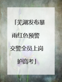 芜湖发布暴雨红色预警 交警全员上岗护高考