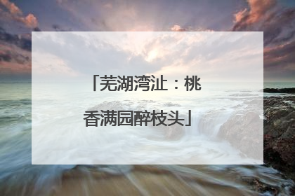 芜湖湾沚：桃香满园醉枝头