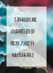 苏仙区观山洞街道多维发力提升城市环境