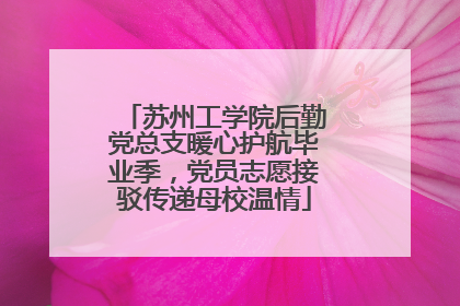 苏州工学院后勤党总支暖心护航毕业季，党员志愿接驳传递母校温情