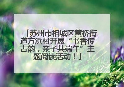 苏州市相城区黄桥街道方浜村开展“书香传古韵，亲子共端午”主题阅读活动！