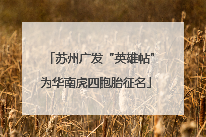 苏州广发“英雄帖”为华南虎四胞胎征名