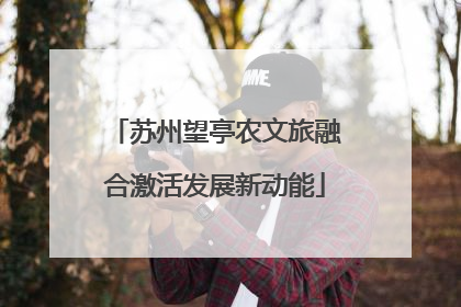 苏州望亭农文旅融合激活发展新动能