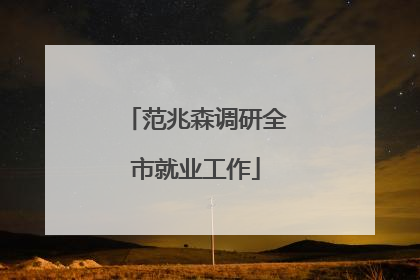 范兆森调研全市就业工作