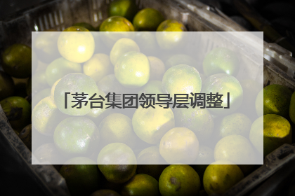 茅台集团领导层调整
