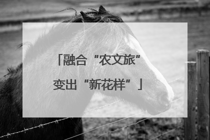 融合“农文旅” 变出“新花样”
