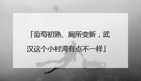 葡萄初熟、厕所变新，武汉这个小村湾有点不一样