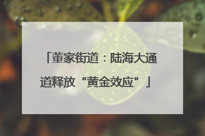 董家街道：陆海大通道释放“黄金效应”