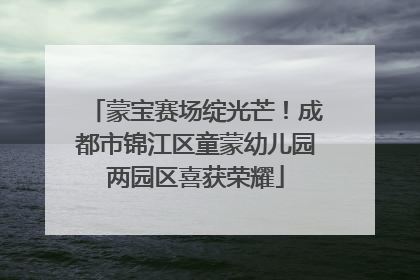 蒙宝赛场绽光芒！成都市锦江区童蒙幼儿园两园区喜获荣耀