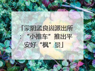蒙阴孟良崮派出所：“小推车”推出平安好“枫”景