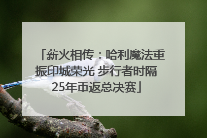 薪火相传：哈利魔法重振印城荣光 步行者时隔25年重返总决赛