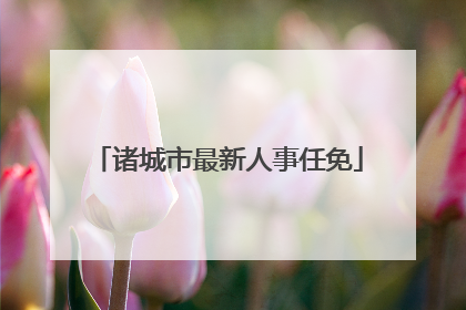 诸城市最新人事任免