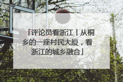 评论员看浙江丨从桐乡的一座村民大厦，看浙江的城乡融合