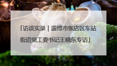 访谈实录｜淄博市张店区车站街道党工委书记王晓东专访