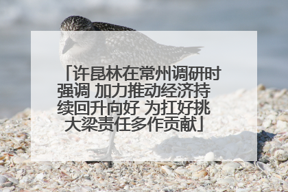 许昆林在常州调研时强调 加力推动经济持续回升向好 为扛好挑大梁责任多作贡献
