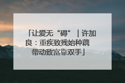 让爱无“碍”｜许加良：重疾致残始种藕 带动致富靠双手