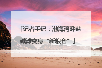记者手记：渤海湾畔盐碱滩变身“新粮仓”