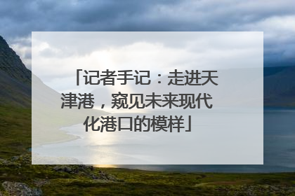 记者手记：走进天津港，窥见未来现代化港口的模样