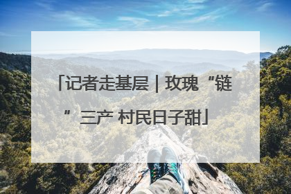 记者走基层｜玫瑰“链”三产 村民日子甜