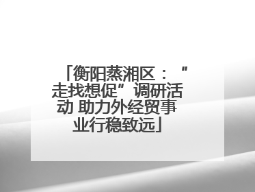 衡阳蒸湘区：“走找想促”调研活动 助力外经贸事业行稳致远