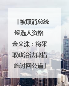 被取消总统候选人资格 金文洙：将采取政治法律措施讨回公道